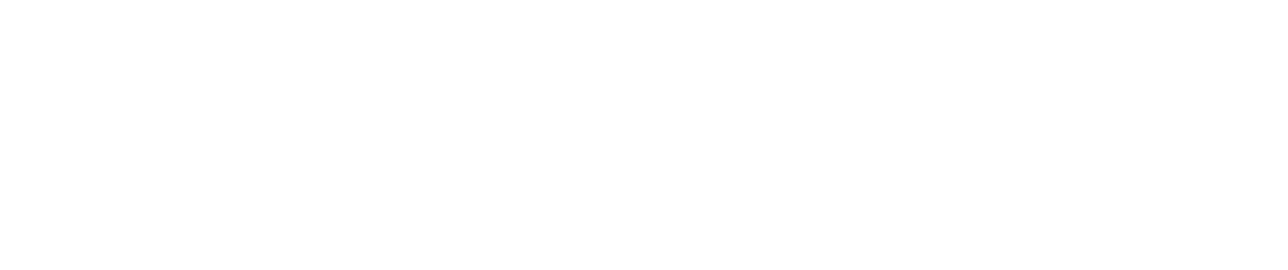 ADINE
