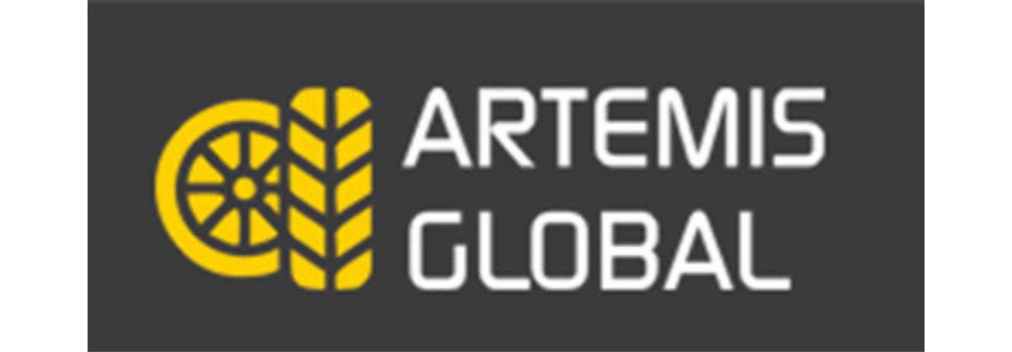 ARTEMIS GLOBAL,S.L.